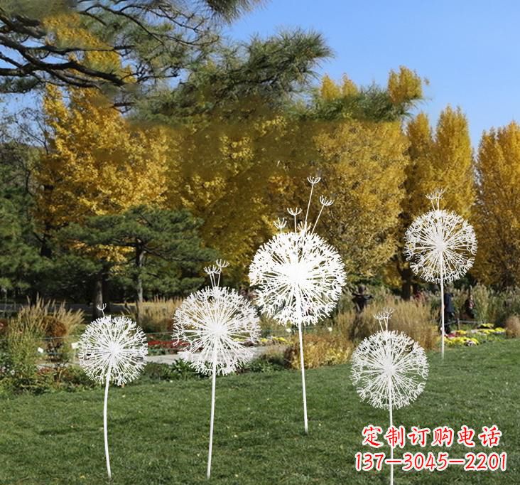 衢州不锈钢蒲公英景观雕塑艺术与美的完美结合