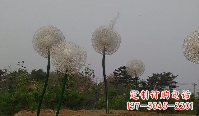 衢州蒲公英的绚丽多彩