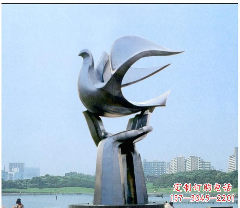 衢州静谧之鸽,传递和平象征~