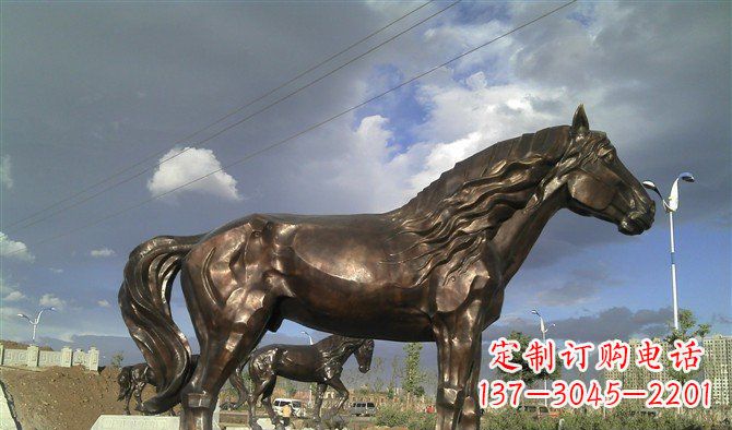 衢州广场马动物铜雕 (2)