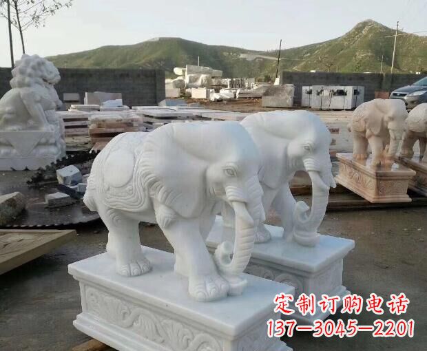 衢州汉白玉吉祥如意大象门口石雕 (2)