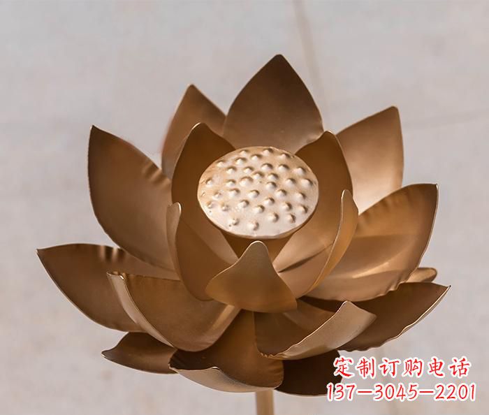 衢州铜雕景观荷花