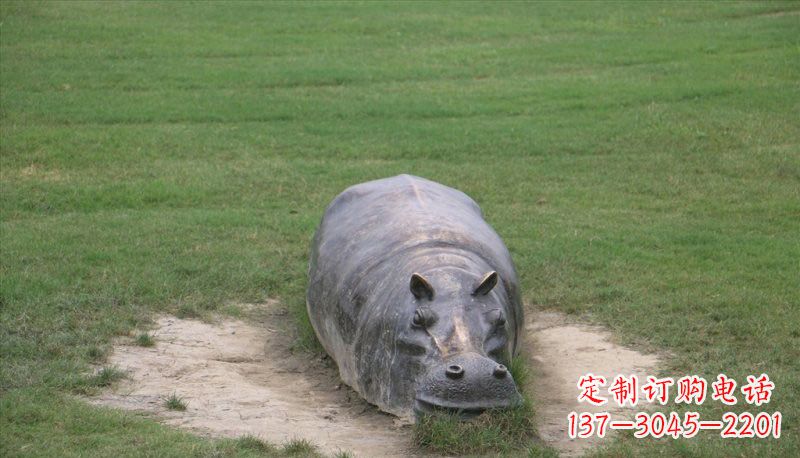 衢州铜雕趴着的河马