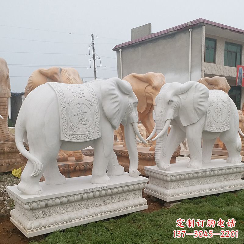 衢州学校石雕大象